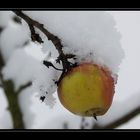 Was vom Sommer noch so übrig blieb