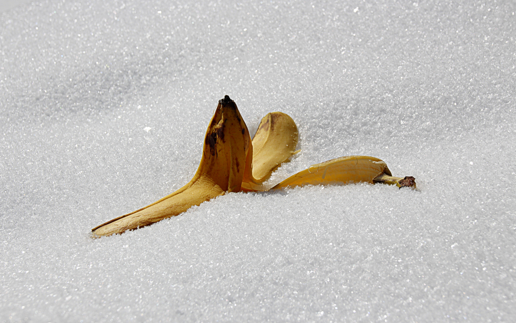 Was vom Wanderer übrig blieb ODER "Lost Chiquita"