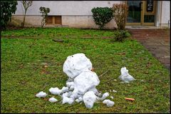 Was von einem Schneemann übrig bleibt ist meist die Karotte