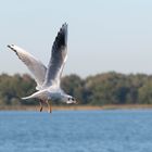 Was wäre ein Ostseeurlaub