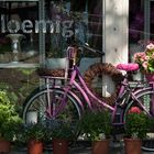 Was wäre Holland ohne Blumen und Fahrräder....