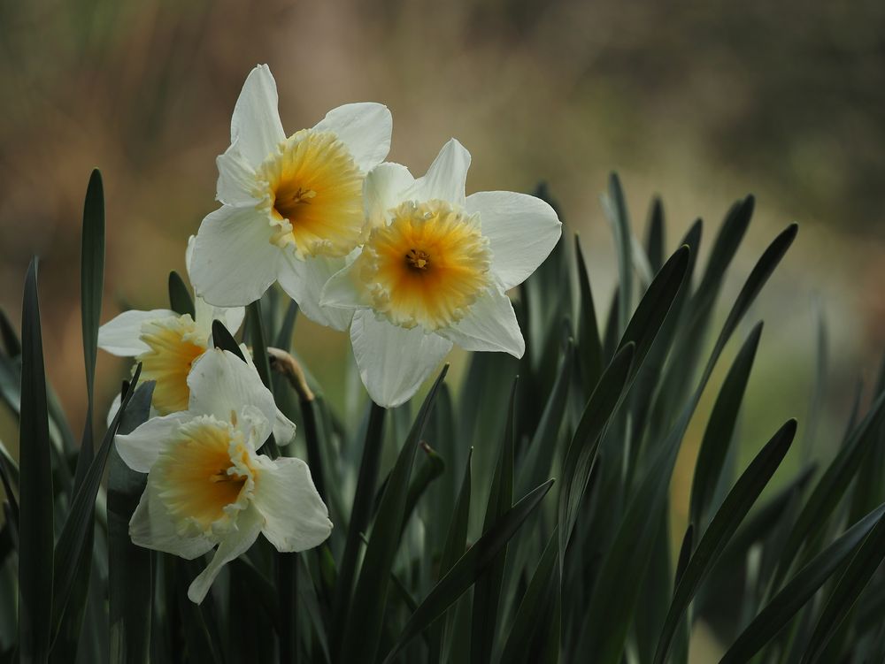 Was wäre Ostern.....