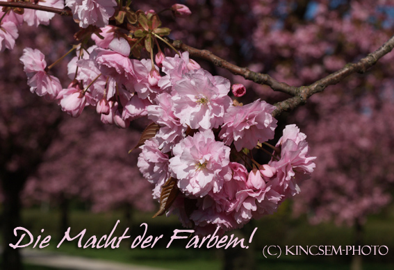 Was wären wir ohne die Farben des Frühlings...