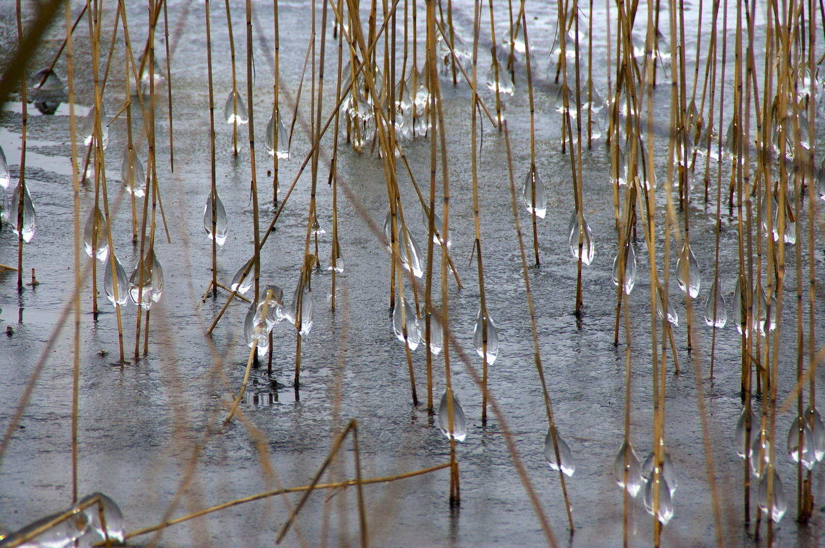 Was Wasser und Kälte...(1)