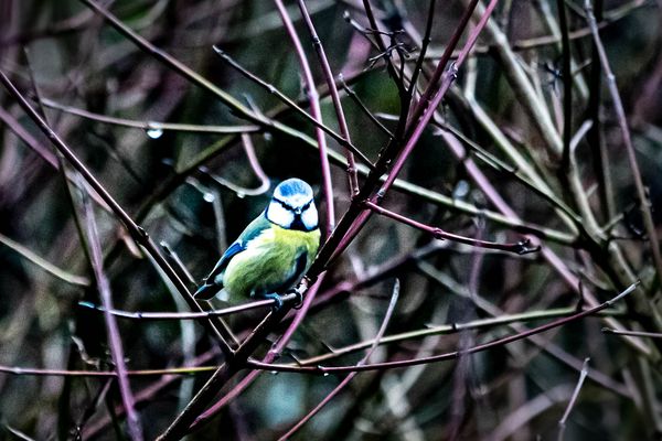 Was willst du von mir