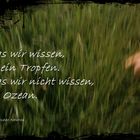 Was wir wissen, ist ein ........