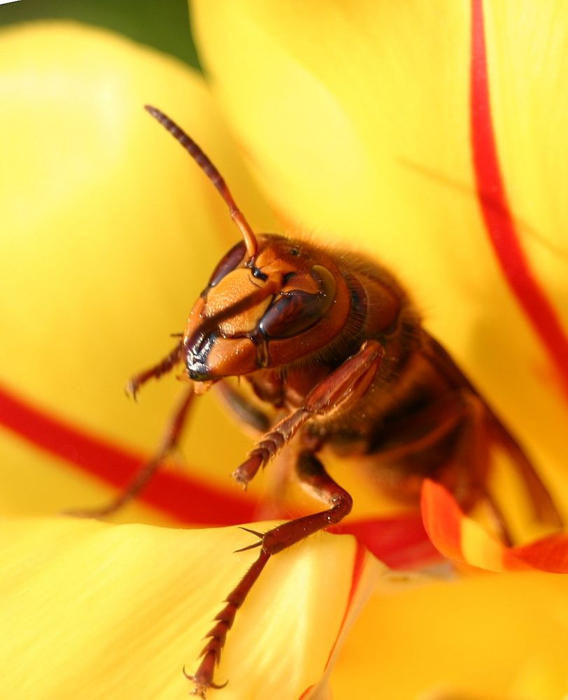 was wird denn nun mit Frühling ?