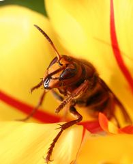 was wird denn nun mit Frühling ?