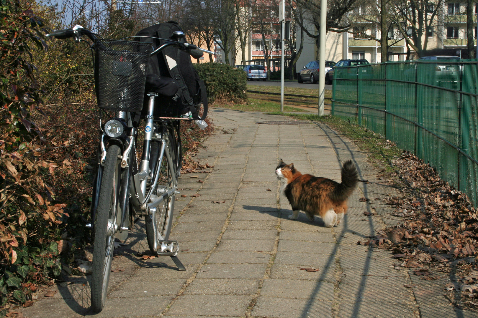 Was wird wohl in dem Rucksack sein?