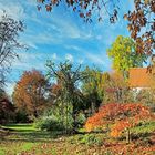 Was wohl? Herbstfarben in der Baumschule