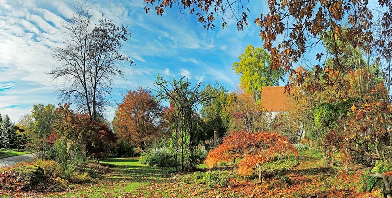 Was wohl? Herbstfarben in der Baumschule