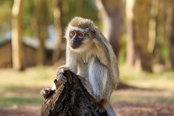 Was wollte ich gerade?