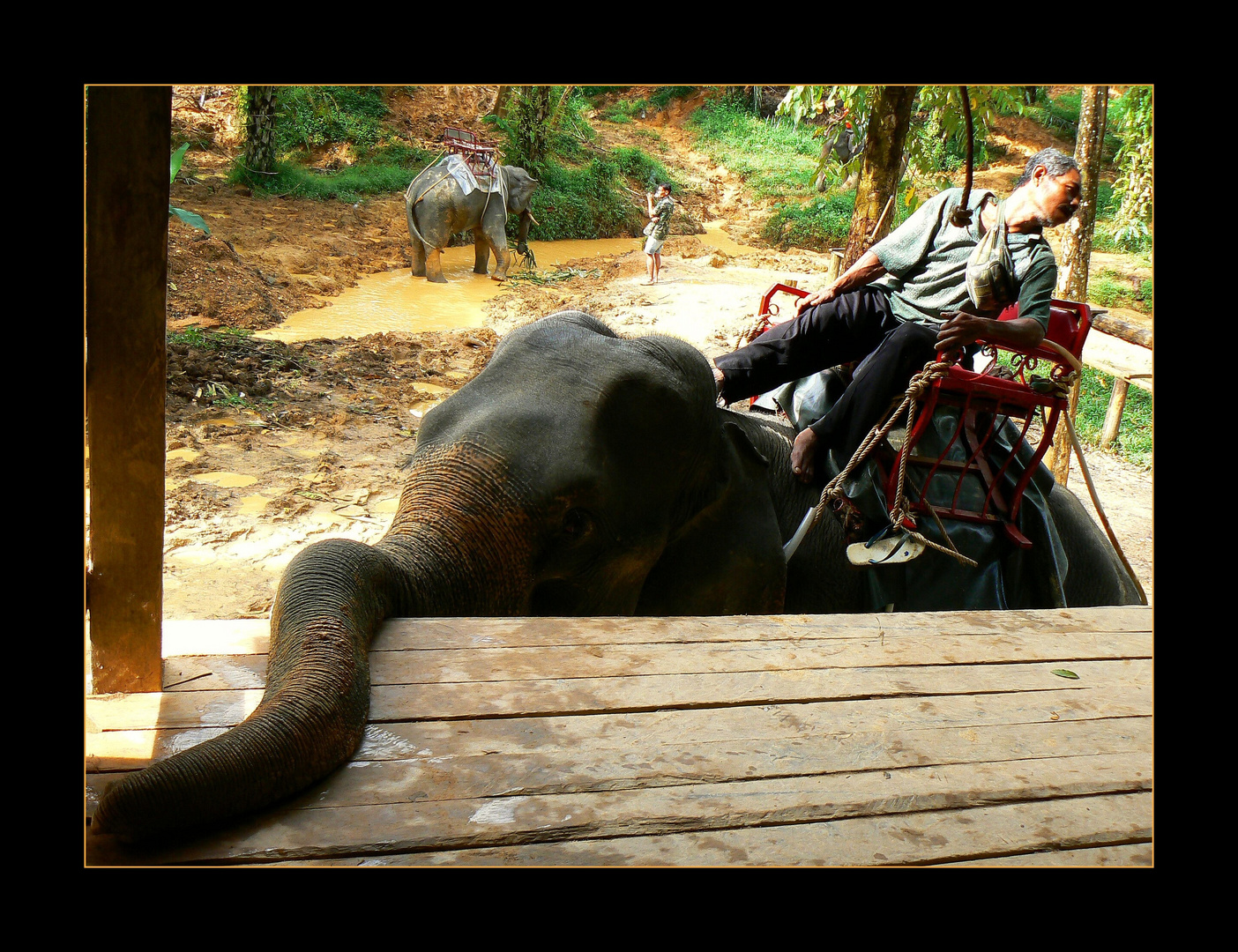 - Wasana Elephant Camp III -