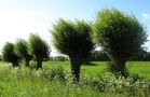 Landschaften geschaffen von Menschenhand