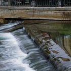 Waschstrasse für Enten,