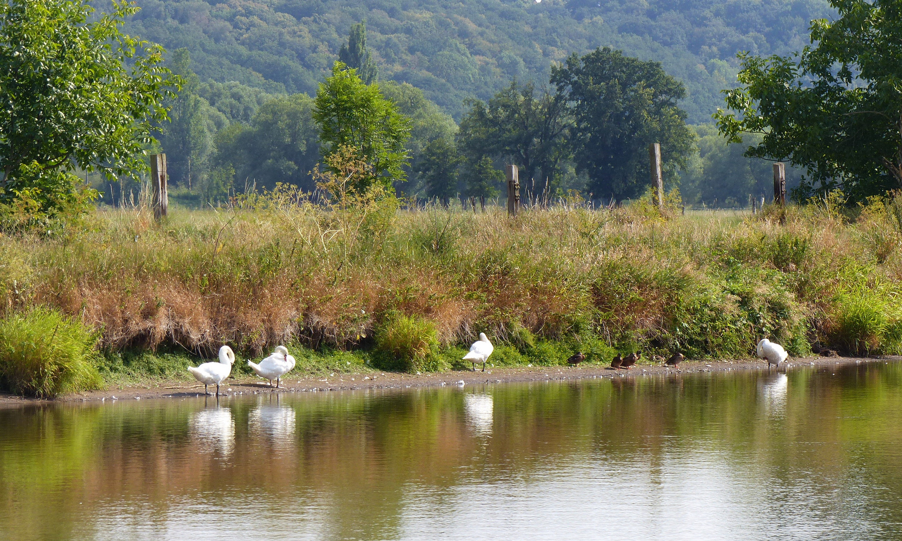 Waschtag am anderen Ufer