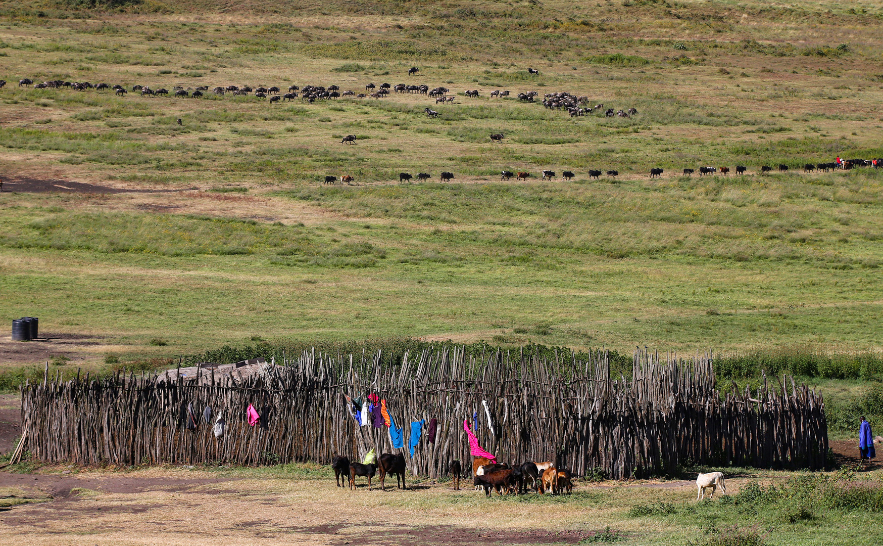 Waschtag im Massai-Dorf