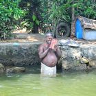 Waschtag in den Backwaters, Cochin