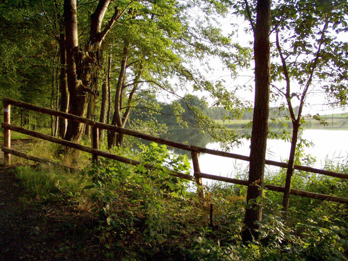 Waschweiher im Vogelsberg