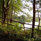 Waschweiher im Vogelsberg