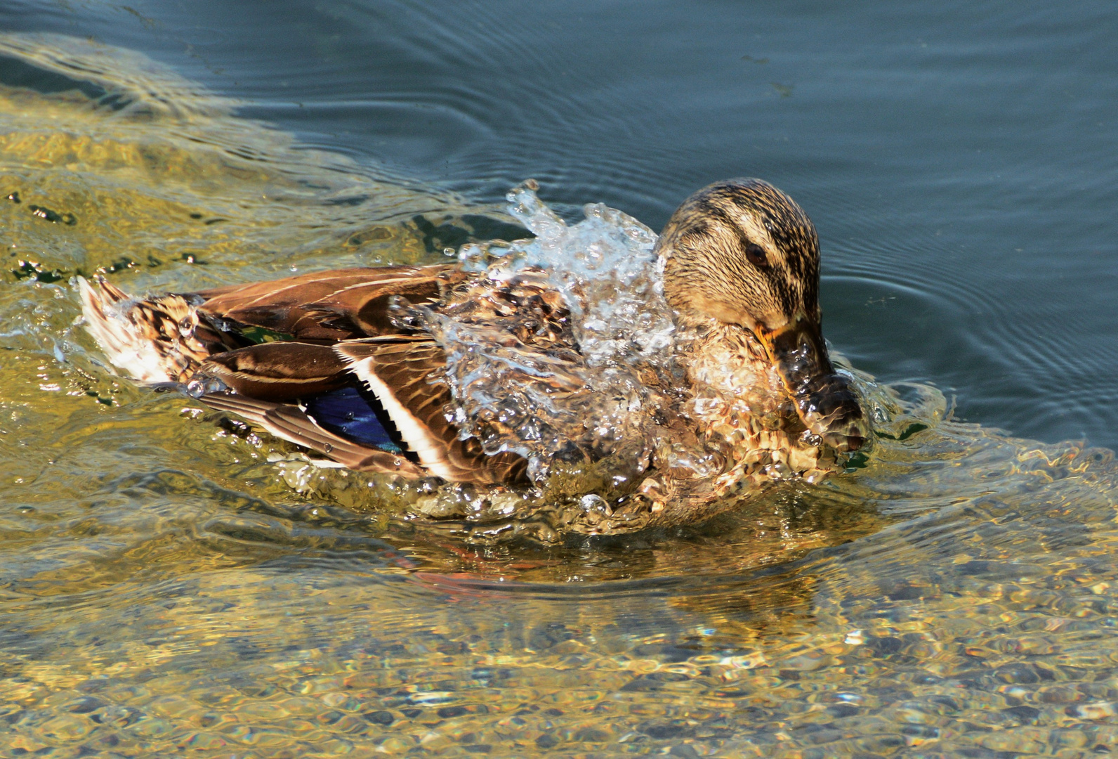 Waschzeit