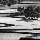 wasdale head