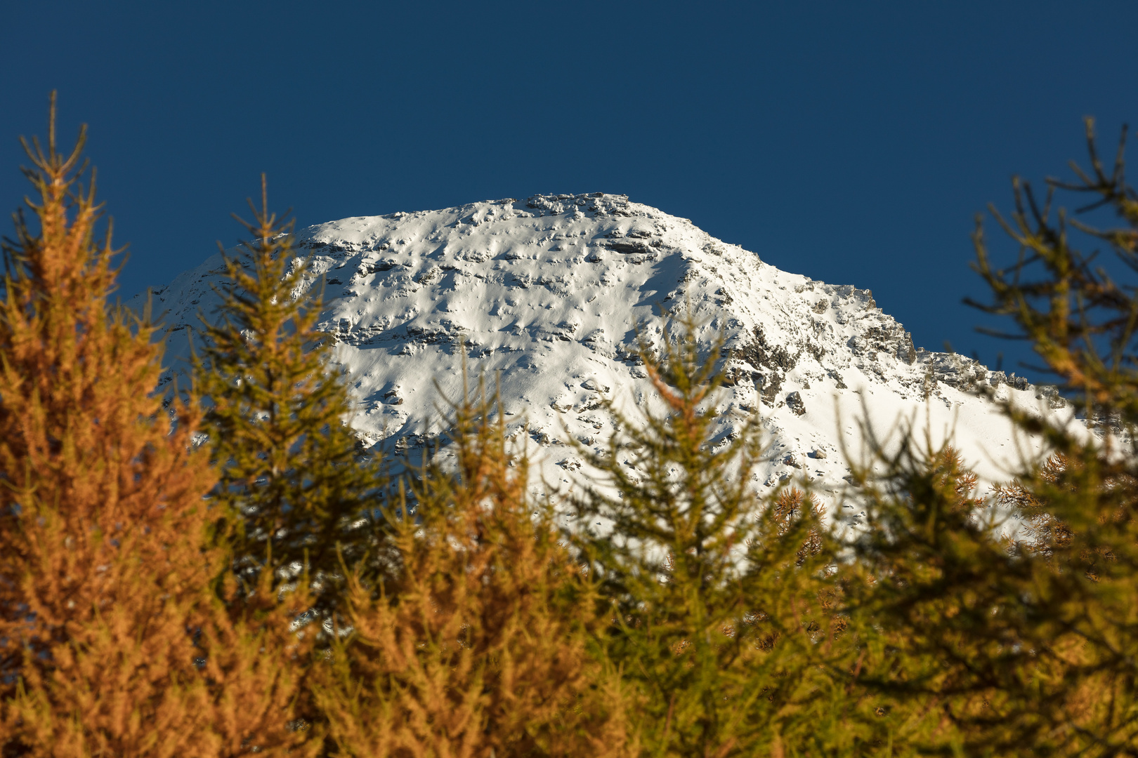 Wasenhorn im Herbst