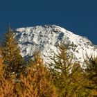 Wasenhorn im Herbst