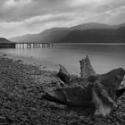 Washed up on Loch Lomonnd shore