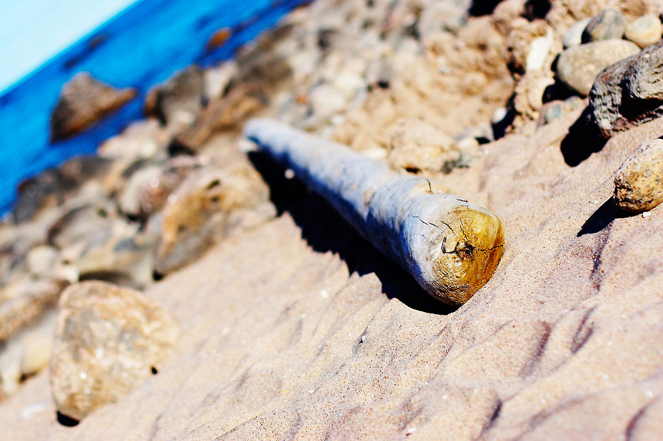 Washed up Wood