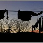 washing line newtown near lilburn evening