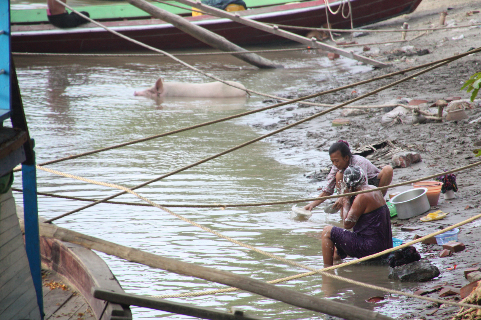 washing pigs and people in the Irrawaddy River in Mandalay