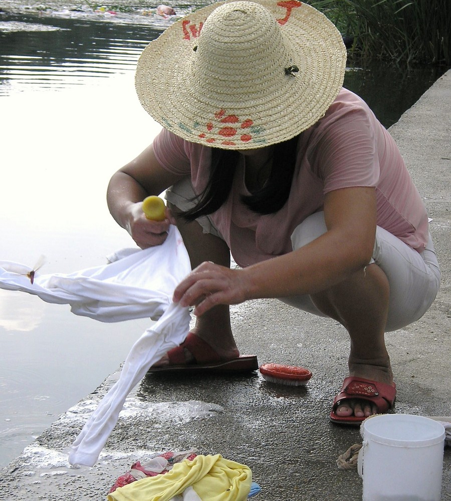 washing with dragonfly