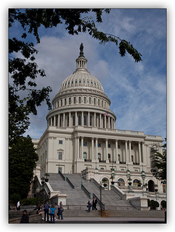 ~ Washington Capitol 1 ~