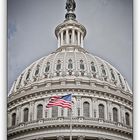 ~ Washington Capitol 2 ~