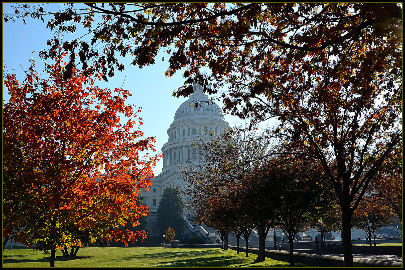 Washington DC   Capitol