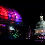 Washington Domes - No. 2