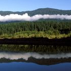 Washington - im Olympic NP 01