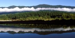 Washington - im Olympic NP 01