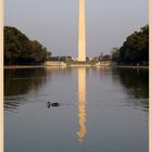 Washington Memorial