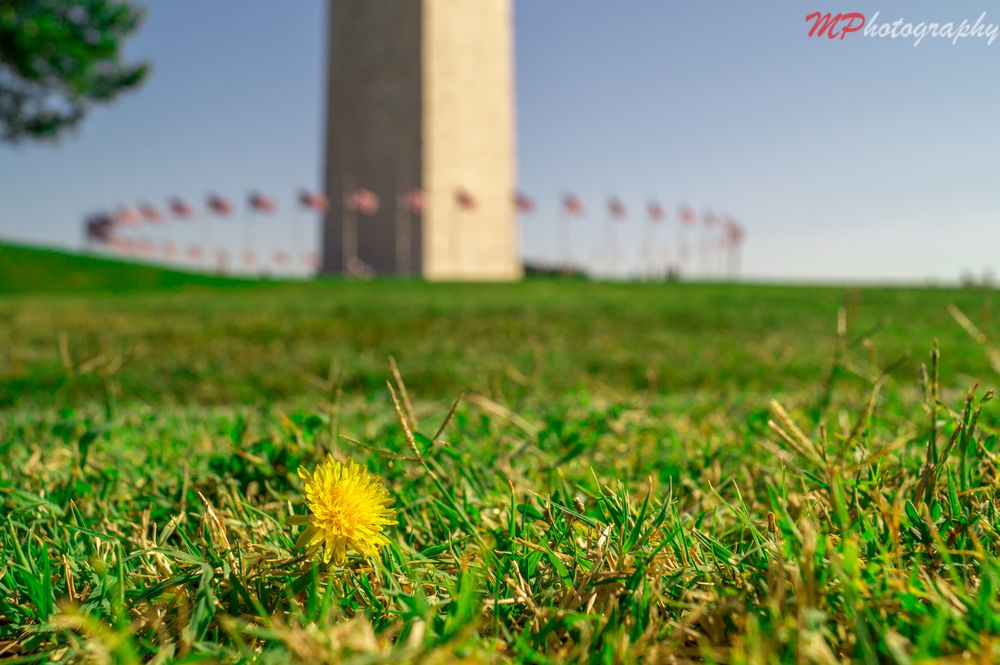 Washington Monument