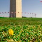 Washington Monument