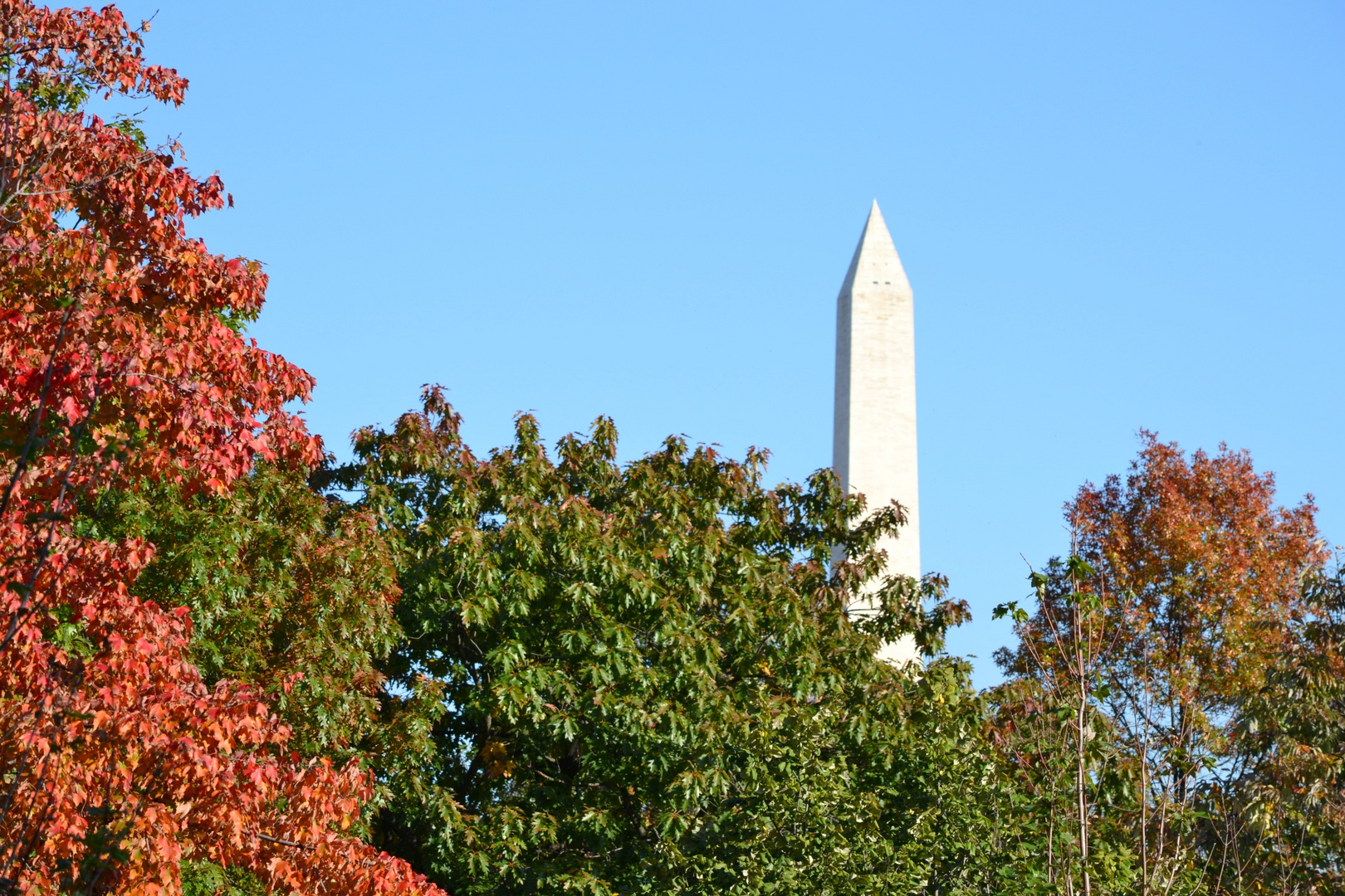 Washington Monument im Herbst