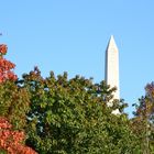Washington Monument im Herbst