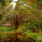 Washington Oaks State Garden