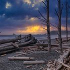 WASHINGTON - RIALTO BEACH (Olympic Nationalpark)