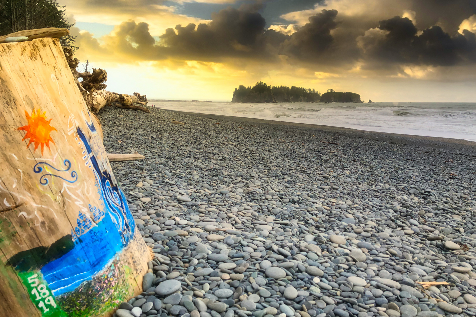 WASHINGTON - RIALTO BEACH PAINTED TREE TRUNK