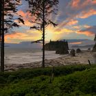 WASHINGTON - RUBY BEACH