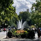 washington square