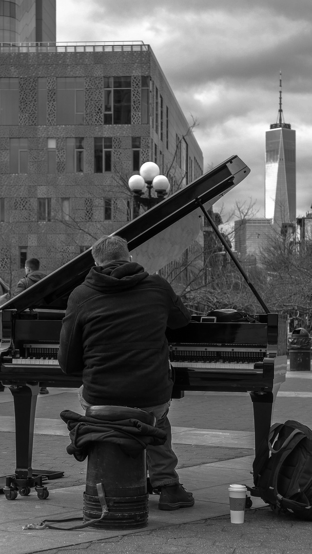 Washington Square NYC